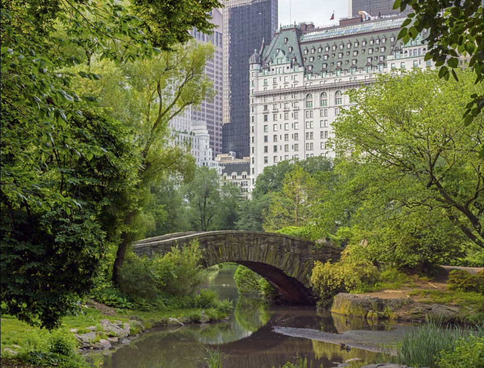 Lisa Rogers Counseling | New York, NY Central Park